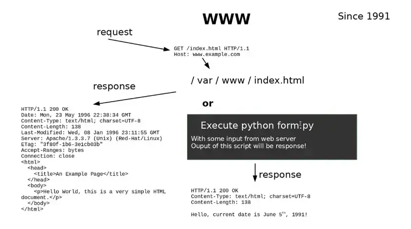 How Python Apps Talks to the Web: A Deep Dive into WSGI and Web servers